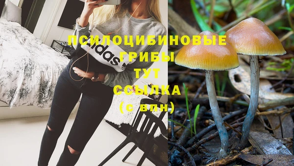 кокаин премиум Зеленокумск